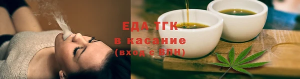 индика Богородск