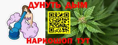 сатива Малгобек