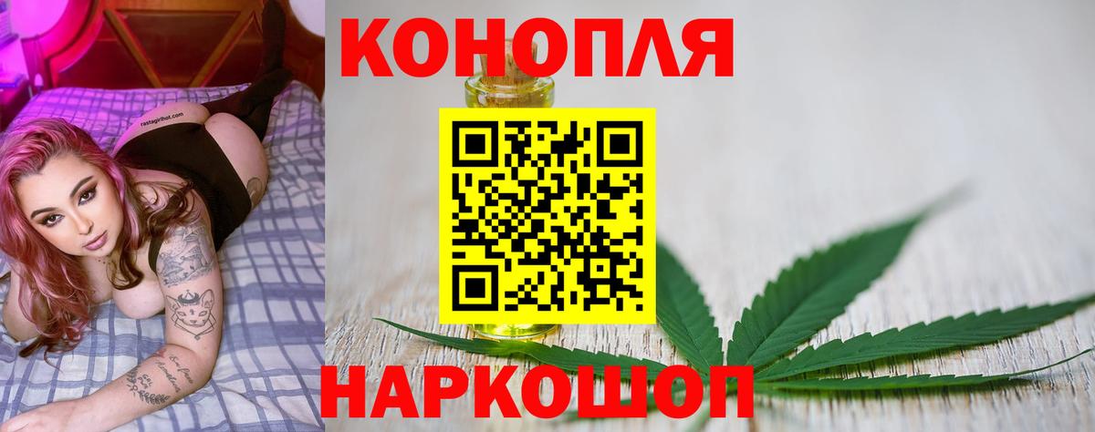 Бошки Шишки тримм  Вход с VPN  Строитель  Канабис планчик 